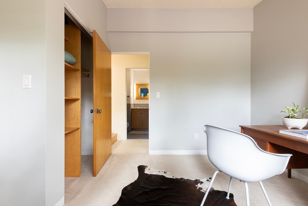 3 Barberry Road Lexington, MA 02421 - Photo 36 of 42 a living room with a couch and a potted plant