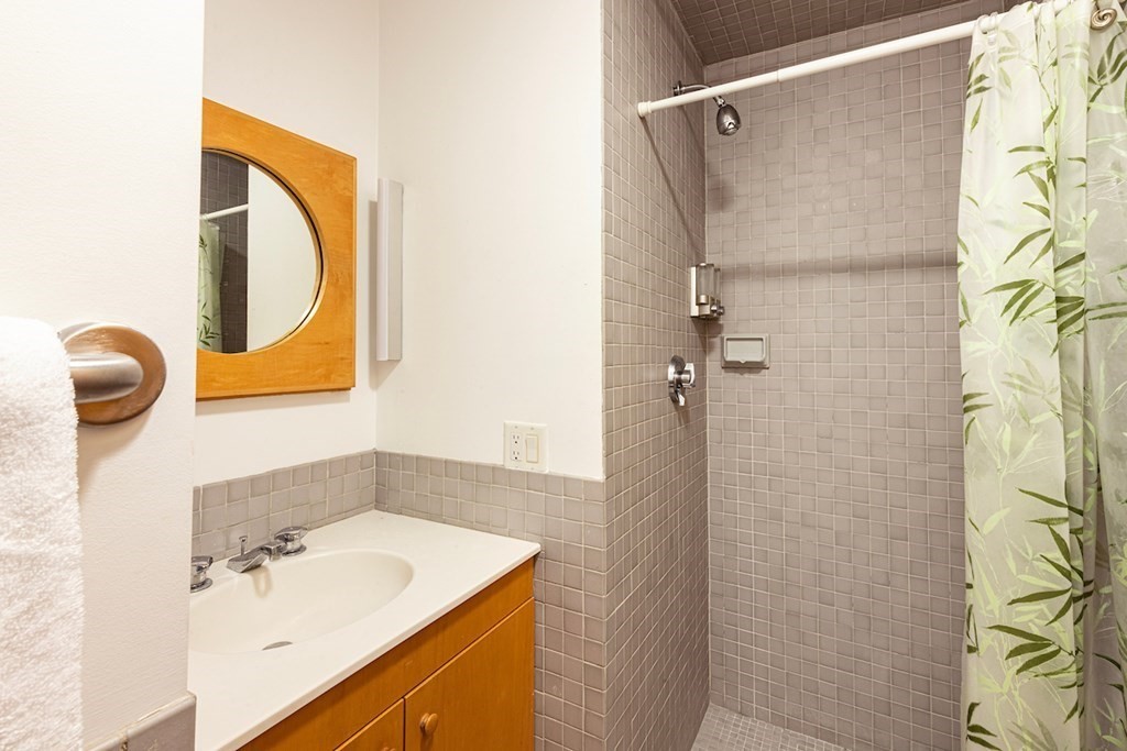 3 Barberry Road Lexington, MA 02421 - Photo 38 of 42 a bathroom with a sink and a mirror