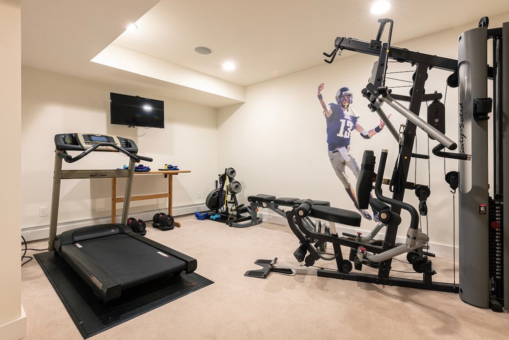 3 Barberry Road Lexington, MA 02421 - Photo 41 of 42 a room with gym equipment and a large mirror