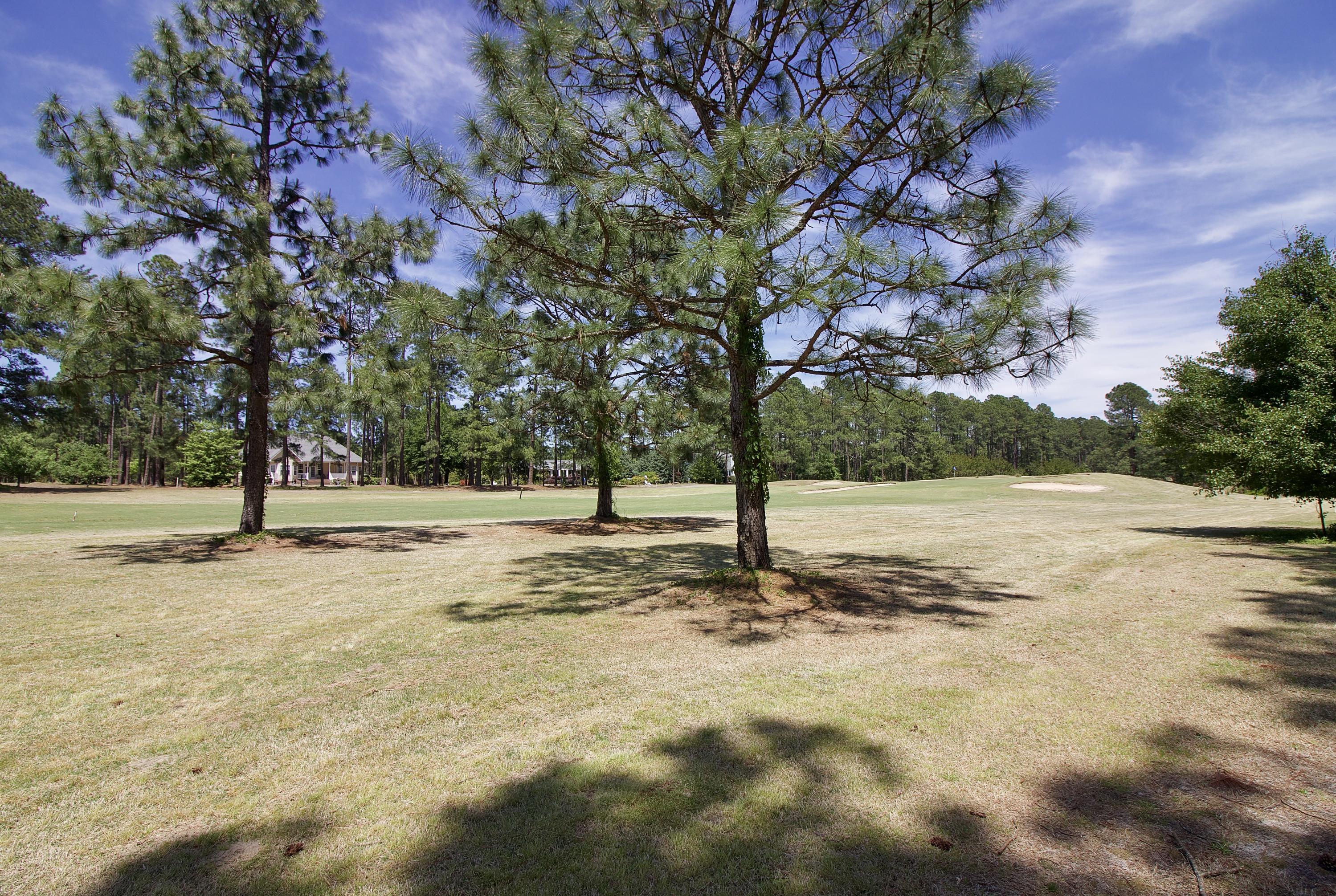 24 Bobolink Road Jackson Springs, NC 27281 - Photo 36 of 37 Golf Course