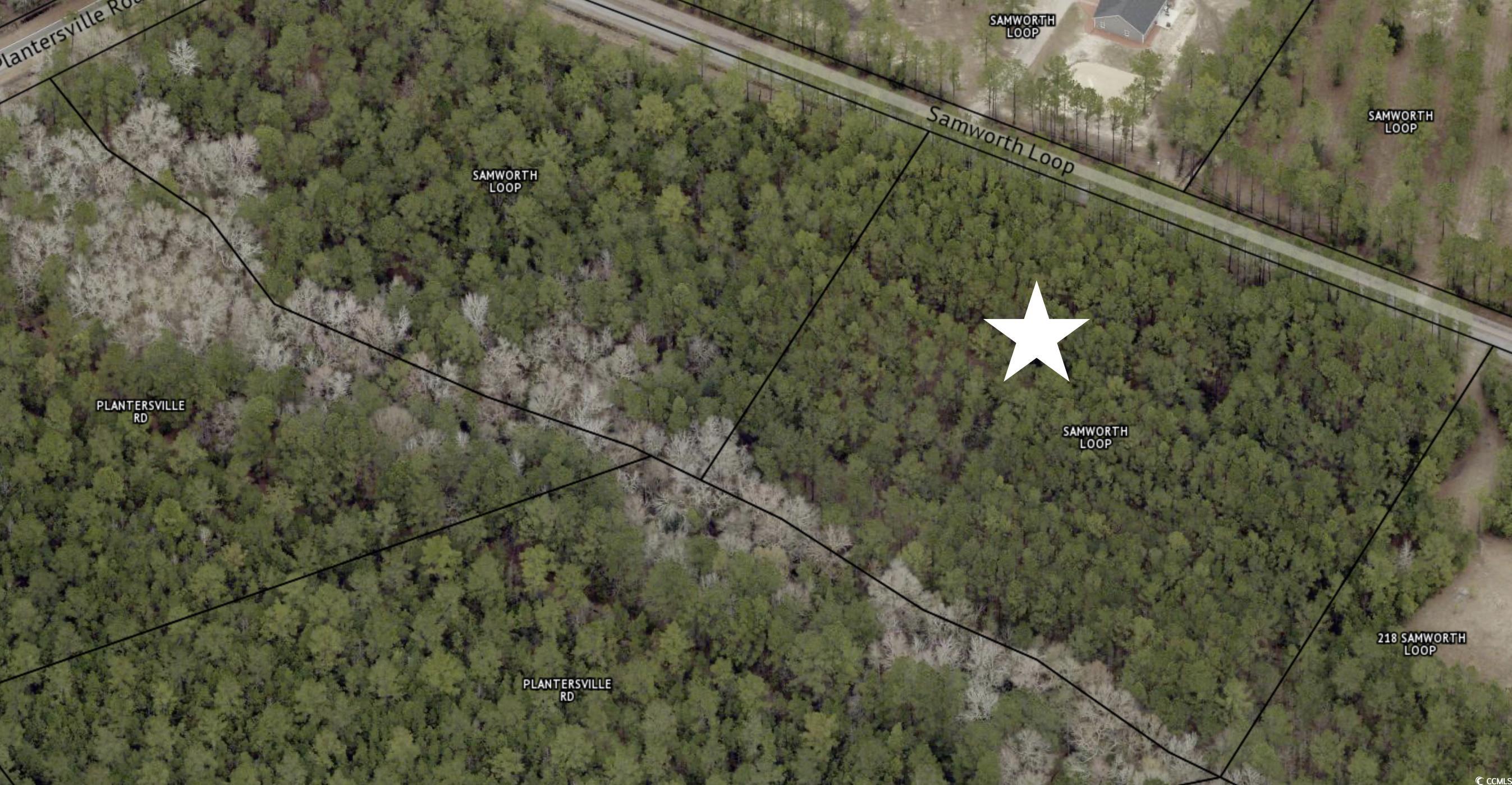 0 Samworth Loop Georgetown, SC 29440 - Photo 2 of 3 Map / location with property boundaries highlighted