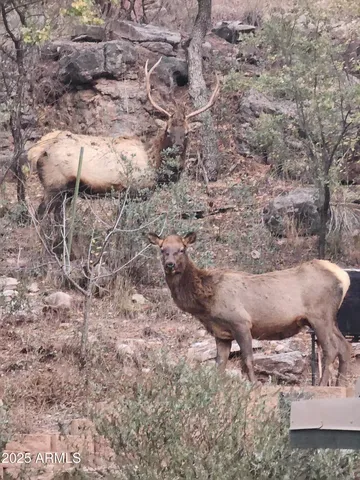 $600,000 | 408 Buenagua Road, Payson, AZ 85541