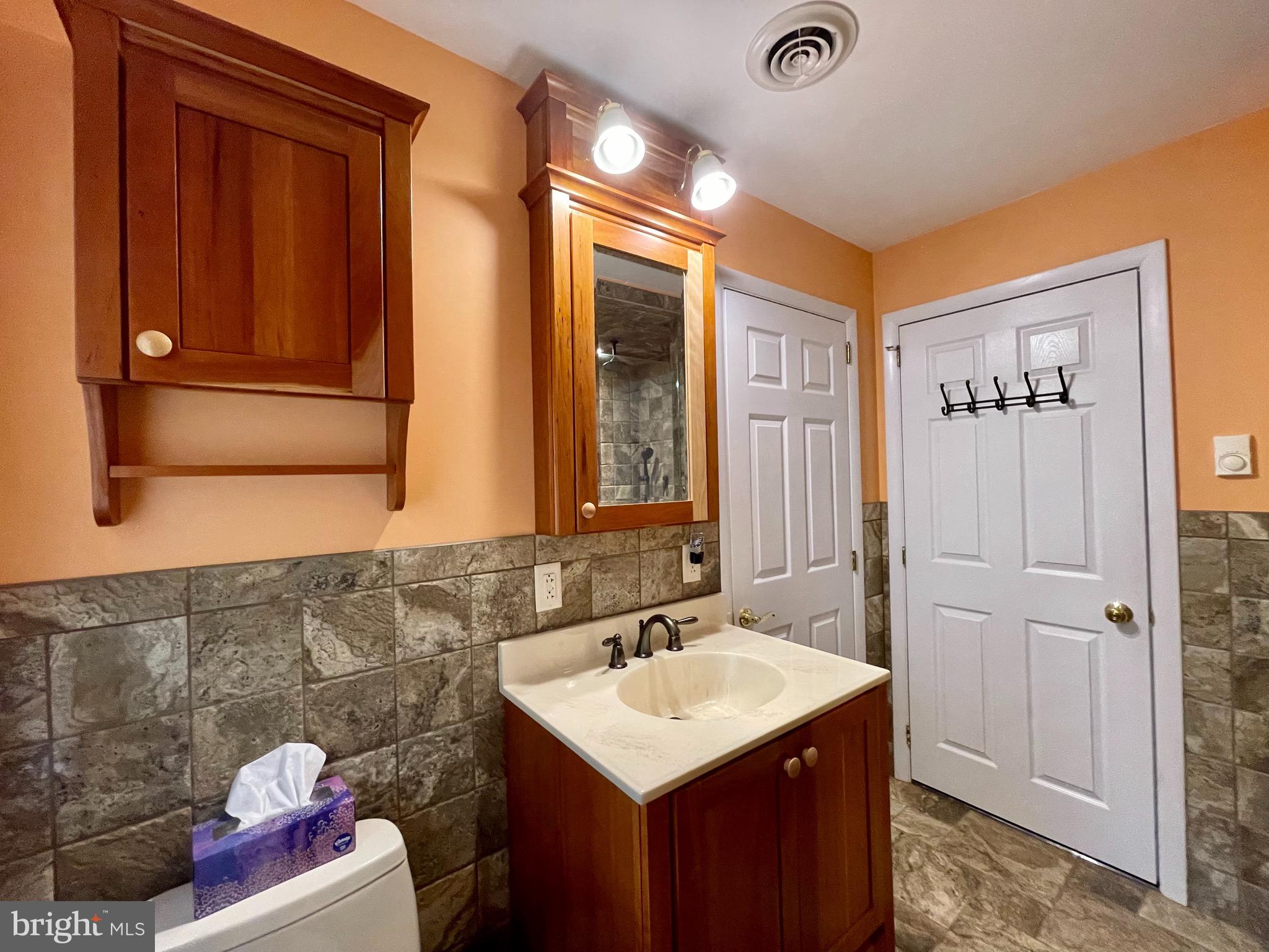 1726 Ramich Road Temple, PA 19560 - Photo 27 of 45 Vanity