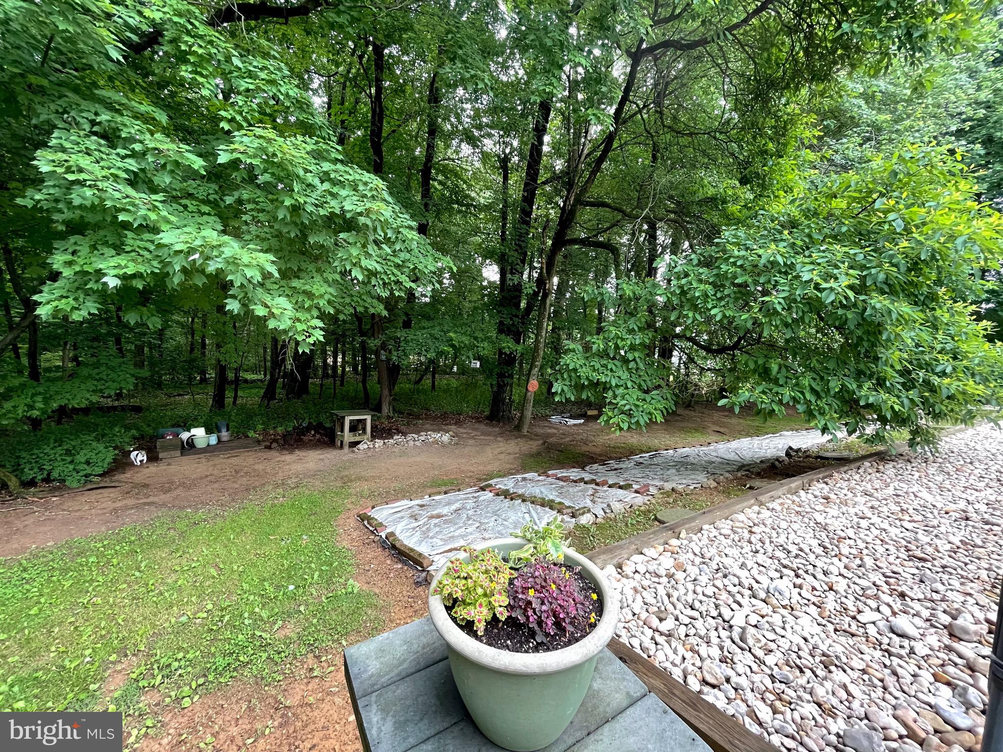 1726 Ramich Road Temple, PA 19560 - Photo 44 of 45 View from Pool & Pool House