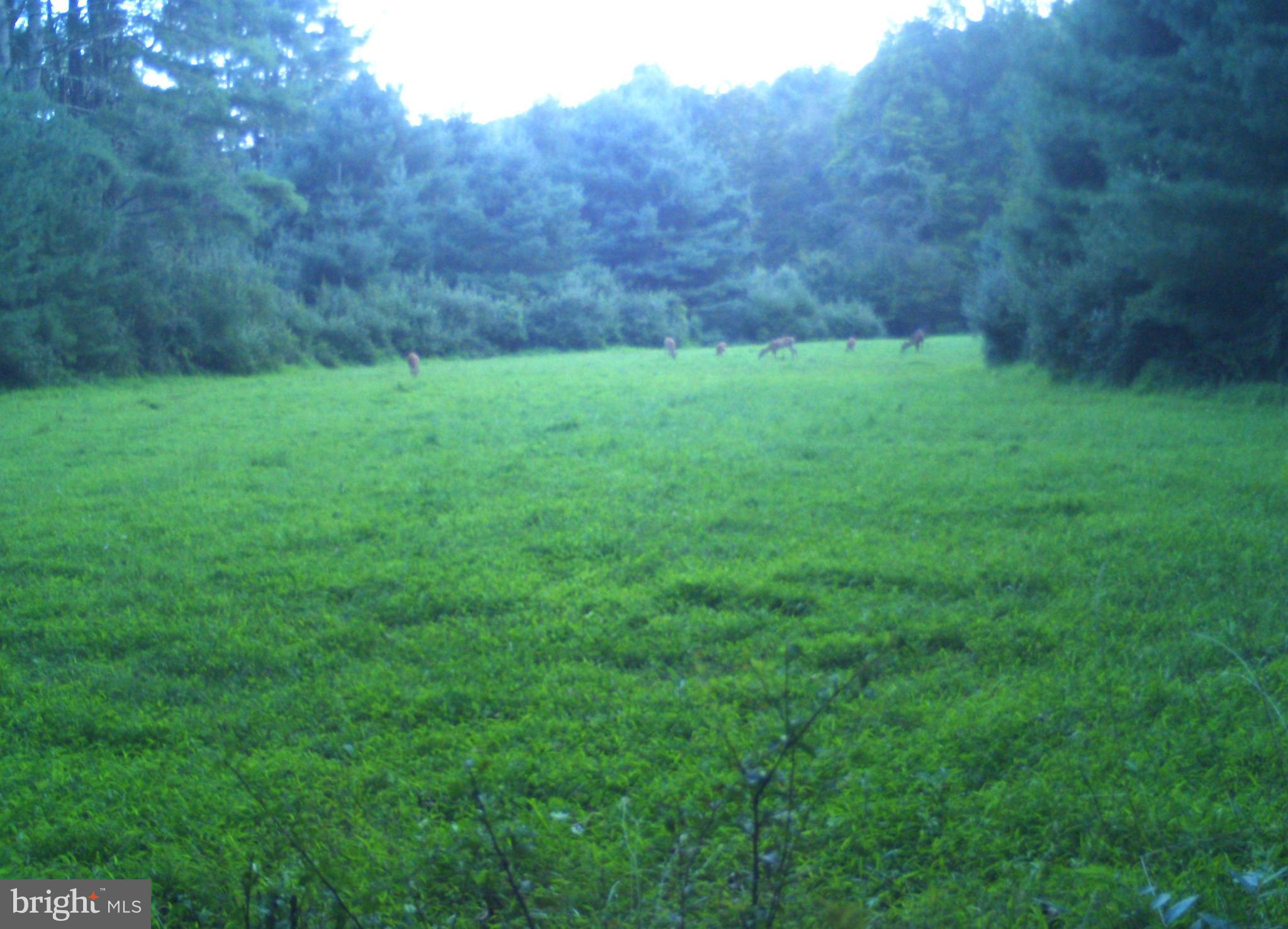 228 Huntington Creek Road Sweet Valley, PA 18656 - Photo 101 of 128