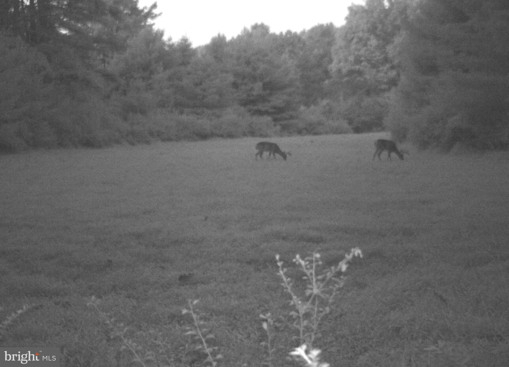 228 Huntington Creek Road Sweet Valley, PA 18656 - Photo 102 of 128 a view of a lake view