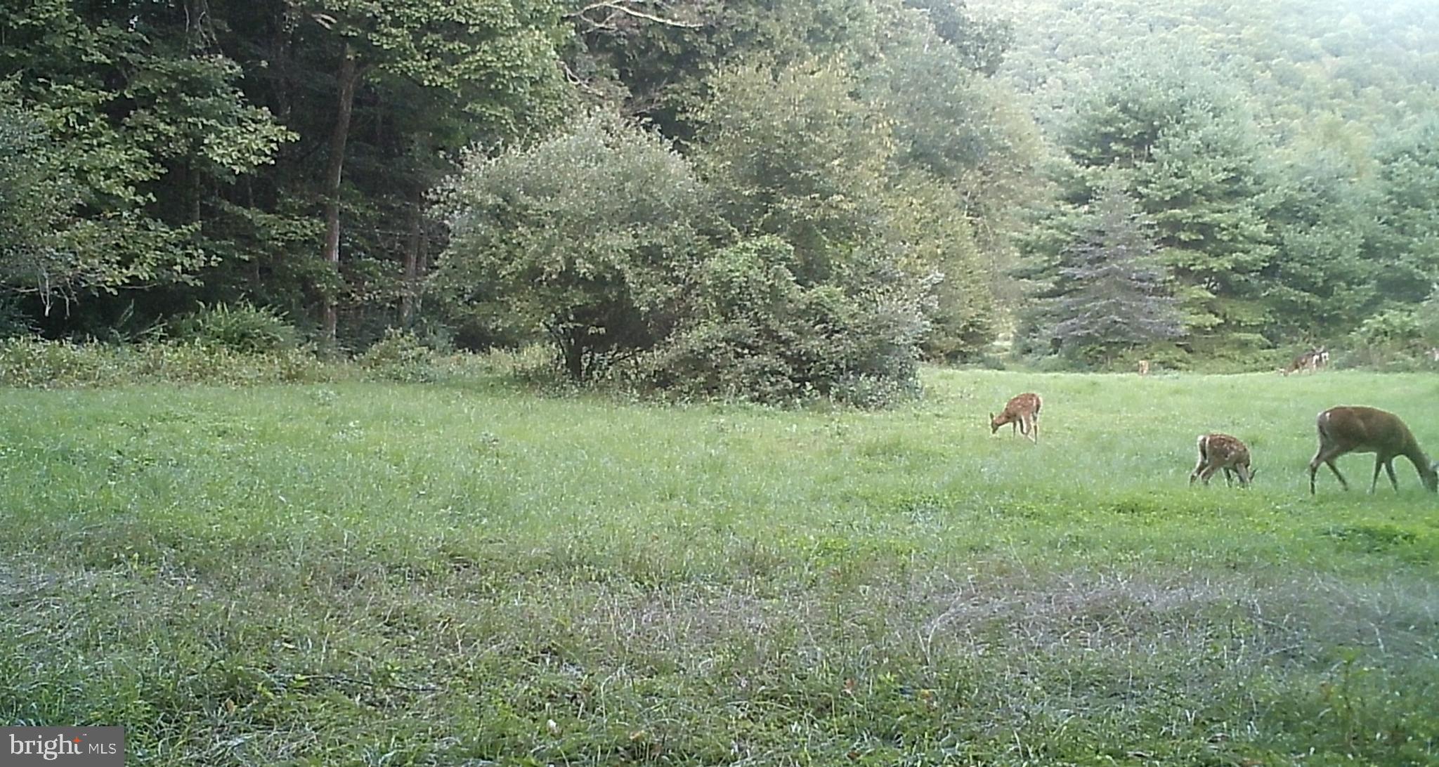 228 Huntington Creek Road Sweet Valley, PA 18656 - Photo 104 of 128