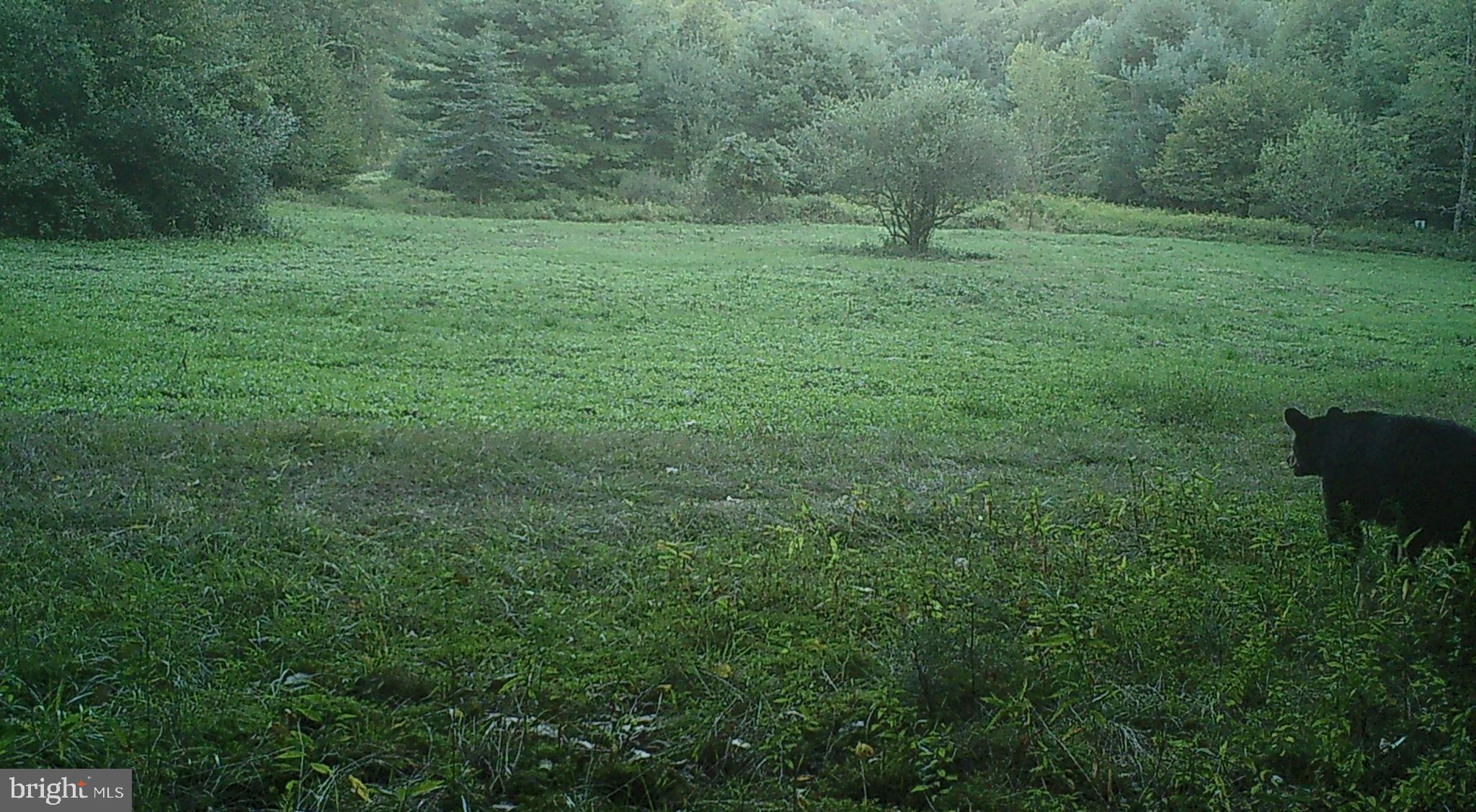 228 Huntington Creek Road Sweet Valley, PA 18656 - Photo 127 of 128