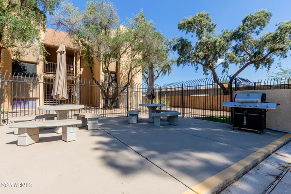 a view of a backyard