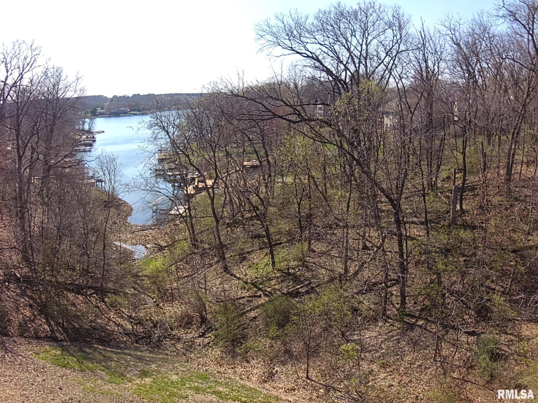 23 Oak Point Court Dahinda, IL 61428 - Photo 1 of 9