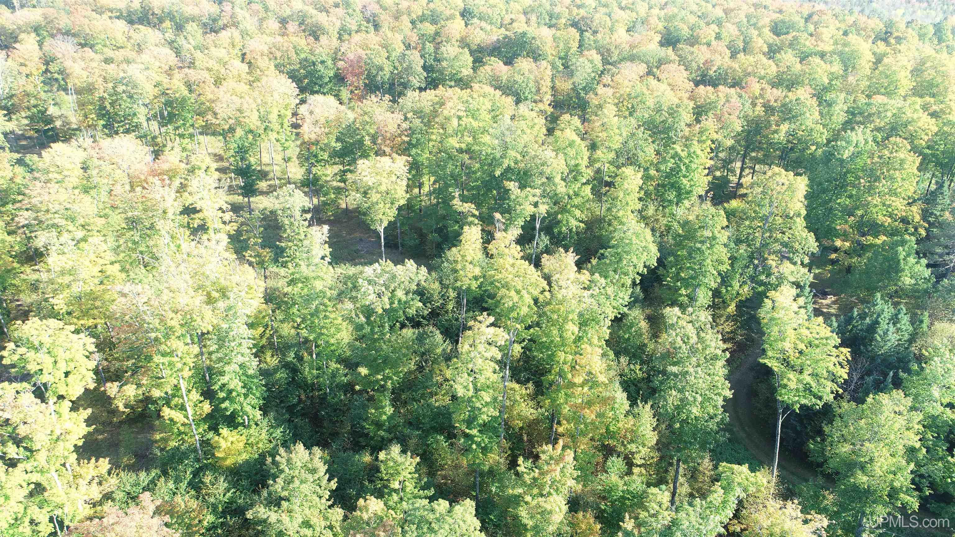 18856 Vega Road Hermansville, MI 49847 - Photo 11 of 23