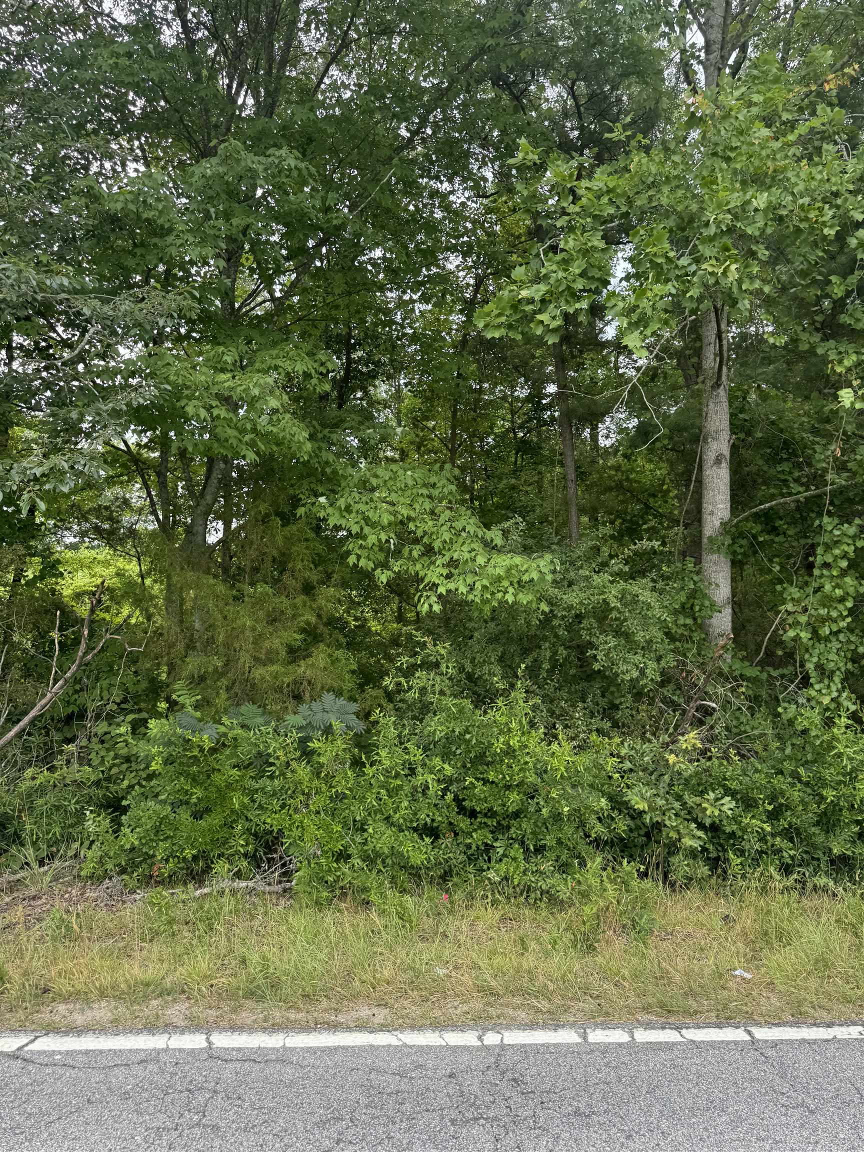 0 Old Anderson Mill Road Moore, SC 29369 - Photo 1 of 1