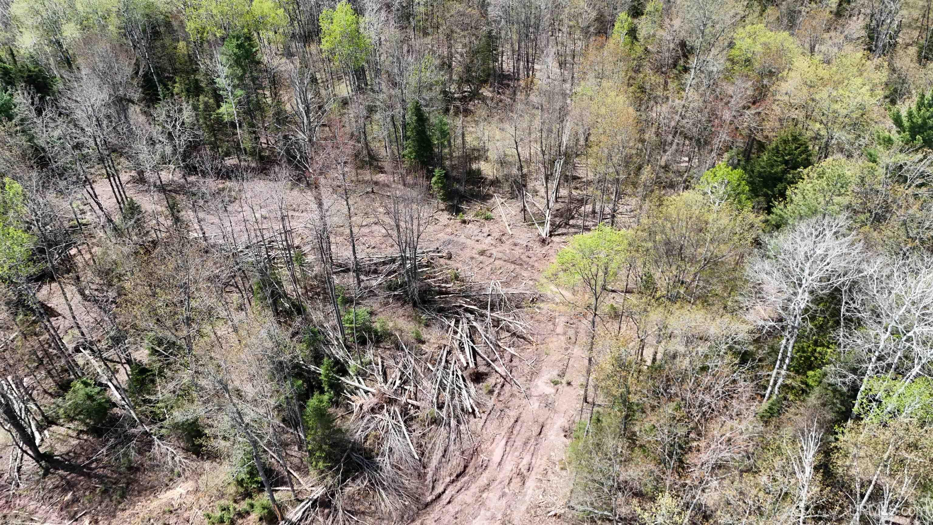 Tbd7.5 Tapiola Road Chassell, MI 49916 - Photo 8 of 13