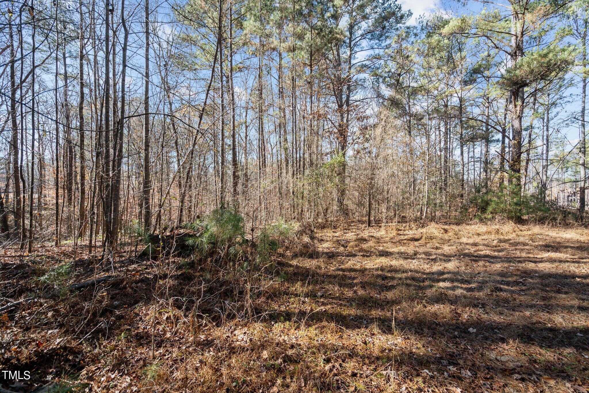 4133 Redwood Road Durham, NC 27704 - Photo 11 of 13 2-web-or-mls-_NFP9002