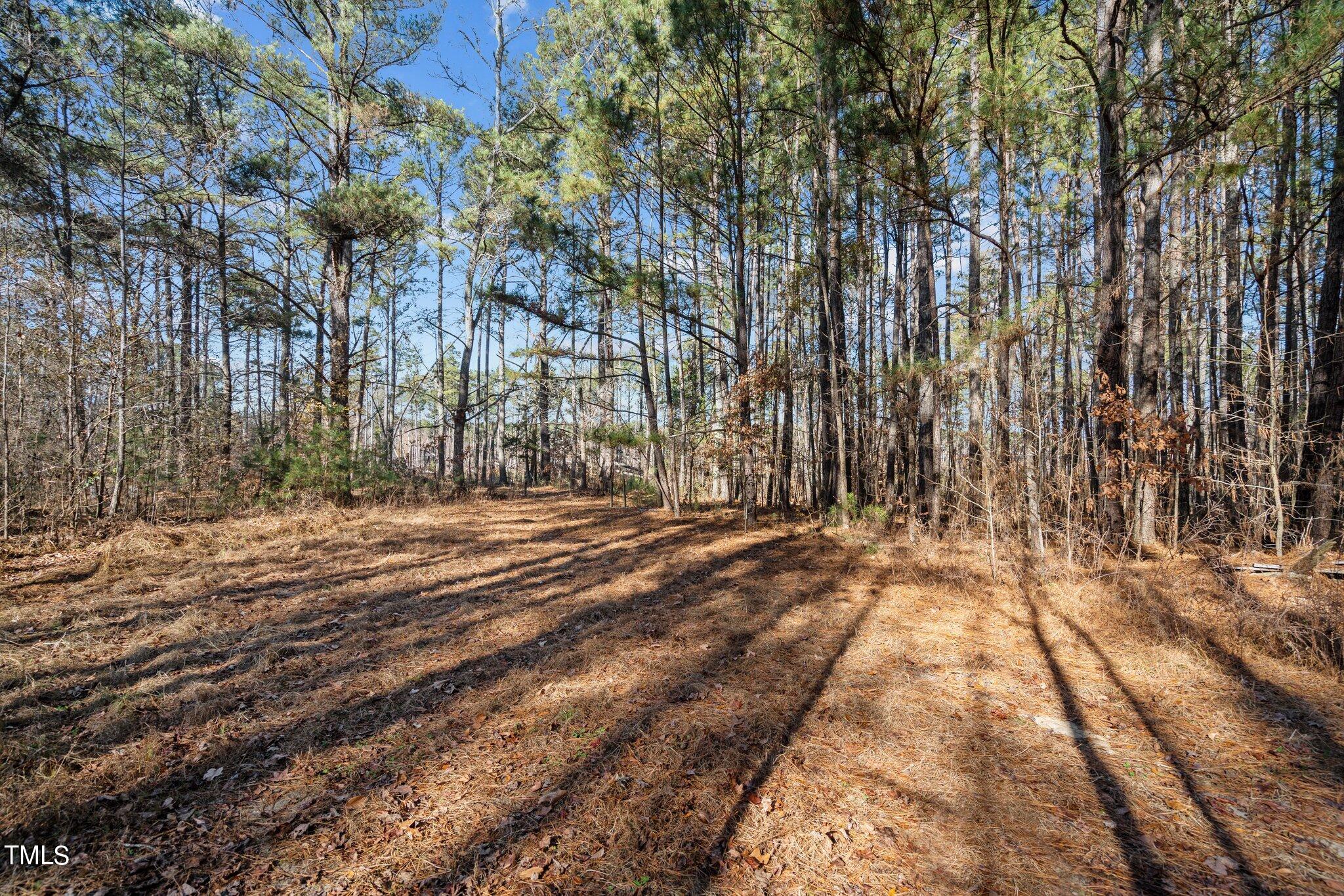 4133 Redwood Road Durham, NC 27704 - Photo 12 of 13 3-web-or-mls-_NFP9003