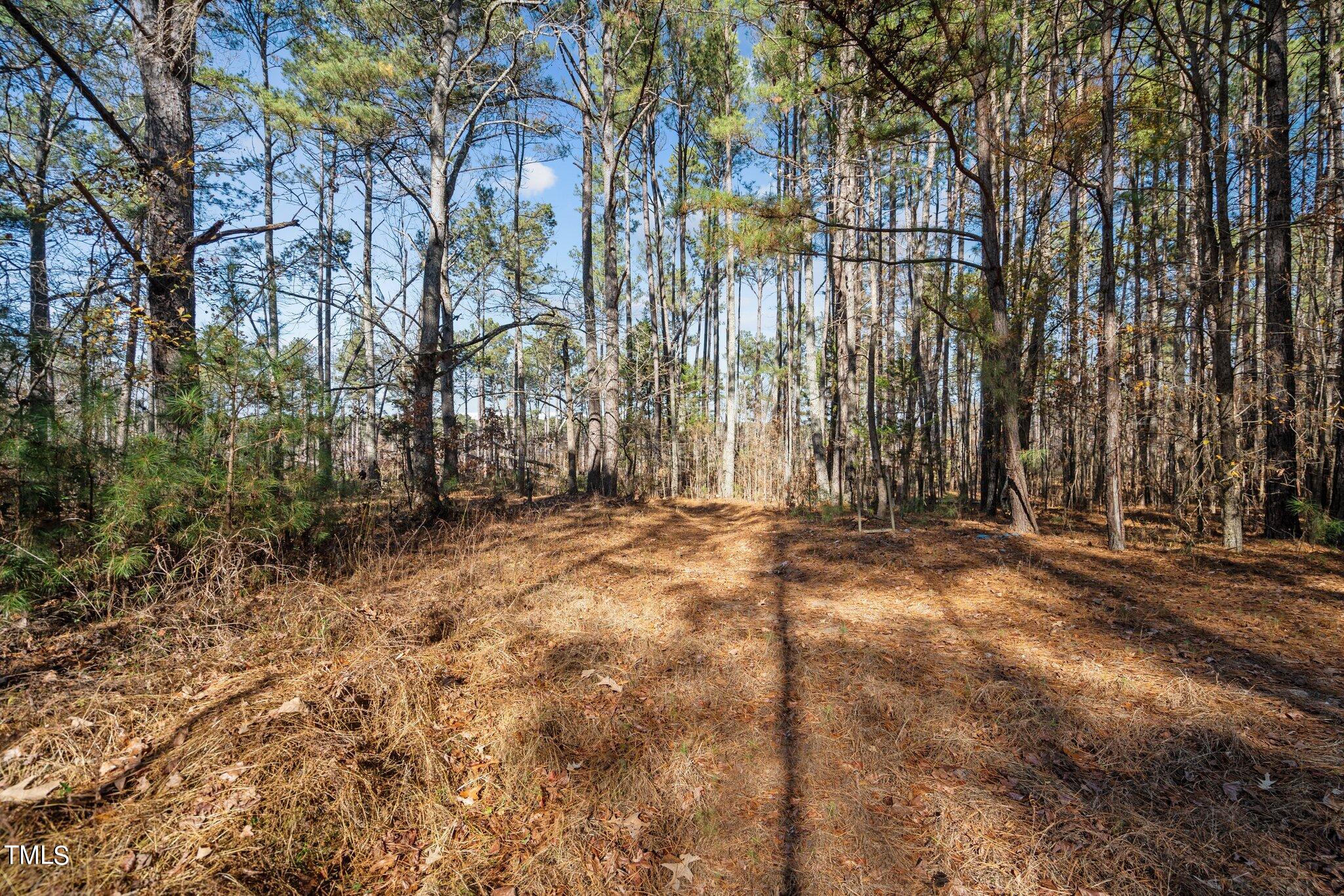 4133 Redwood Road Durham, NC 27704 - Photo 13 of 13 4-web-or-mls-_NFP9004