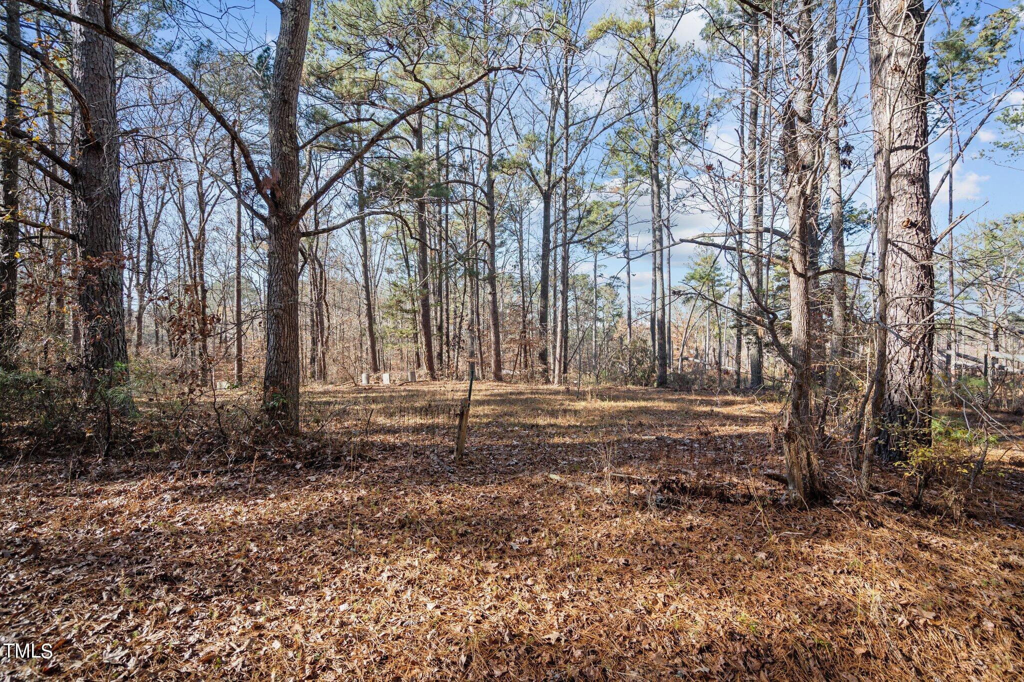 4133 Redwood Road Durham, NC 27704 - Photo 2 of 13 5-web-or-mls-_NFP9005