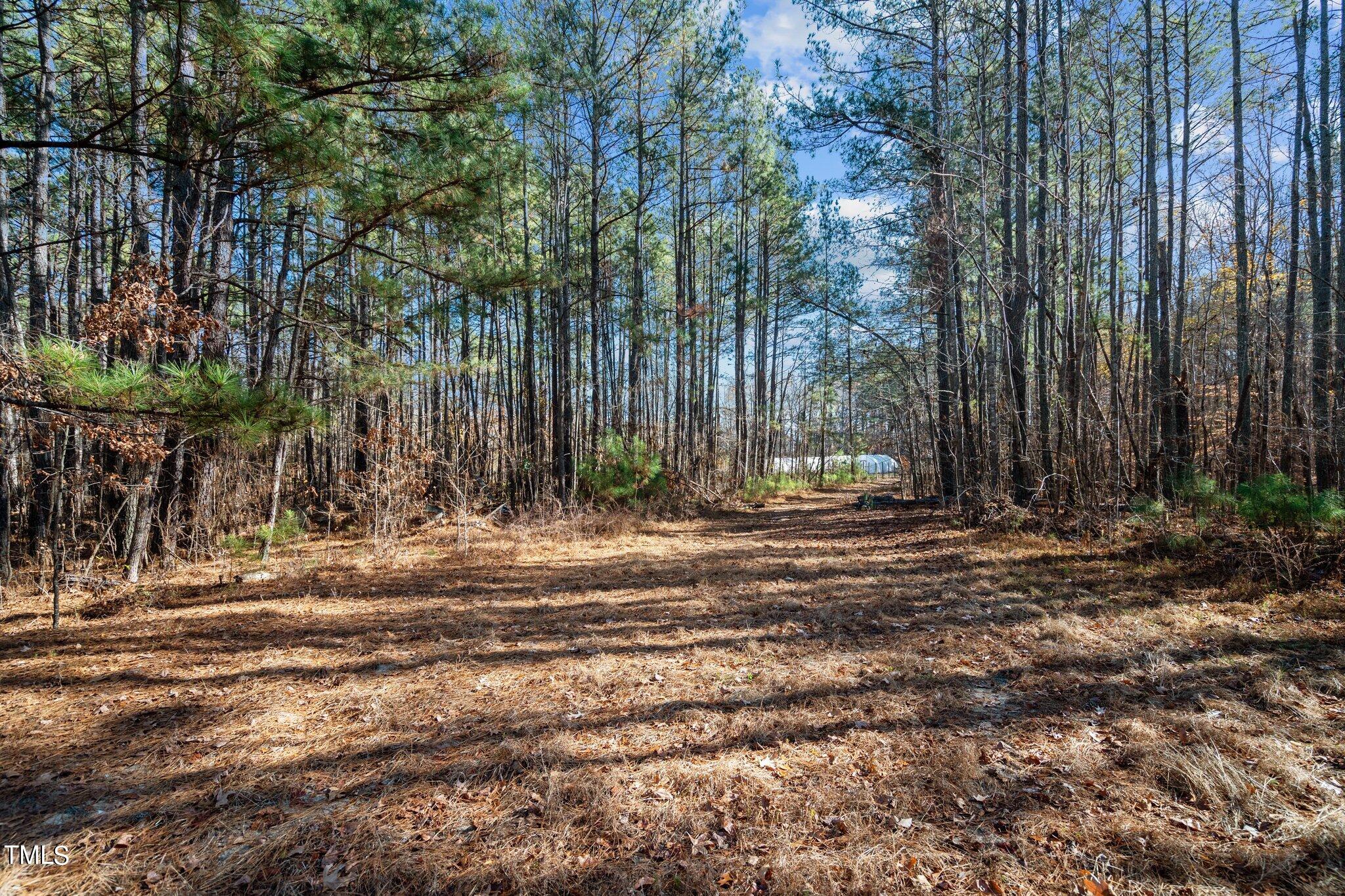 4133 Redwood Road Durham, NC 27704 - Photo 3 of 13 8-web-or-mls-_NFP9008