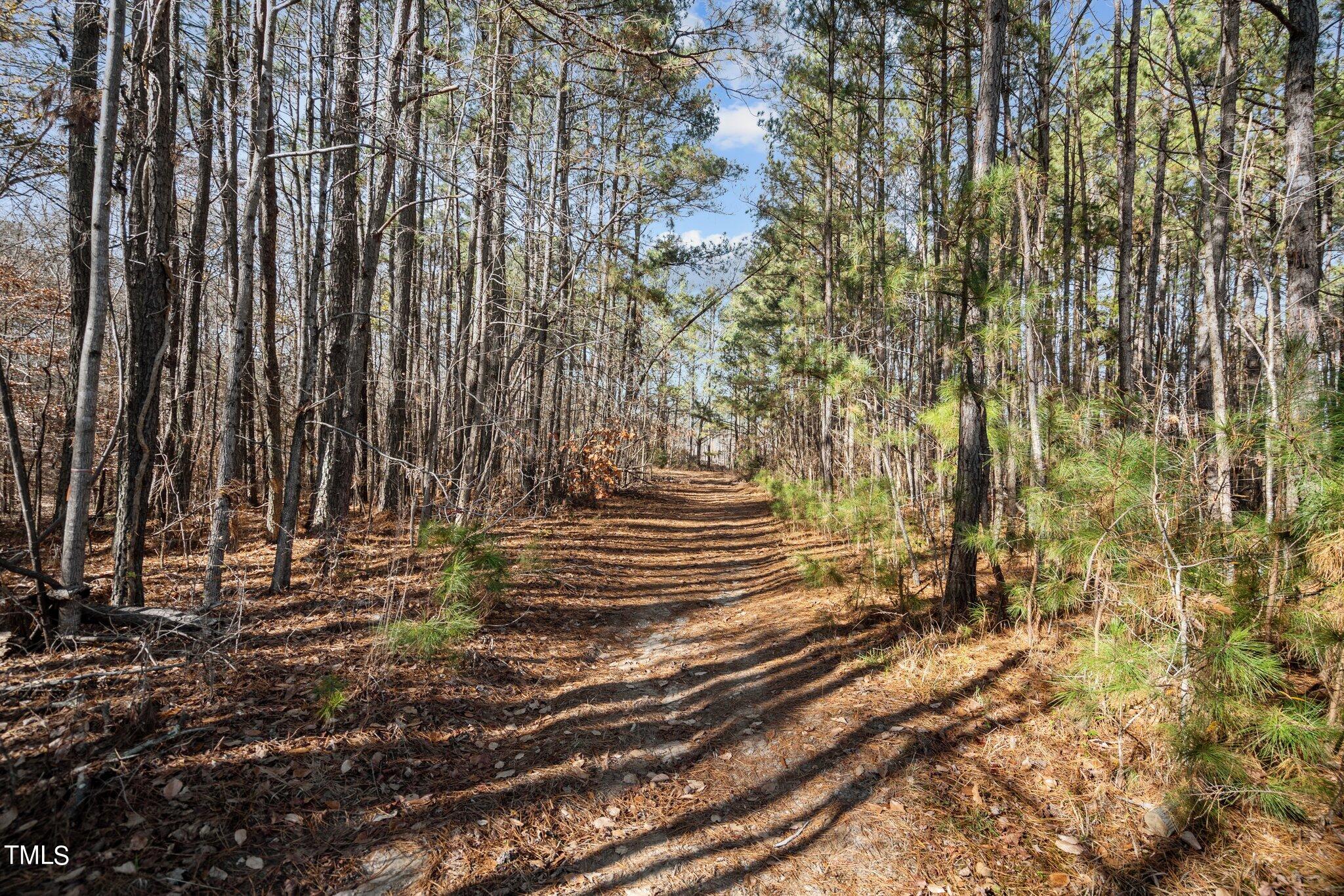 4133 Redwood Road Durham, NC 27704 - Photo 4 of 13 9-web-or-mls-_NFP9009