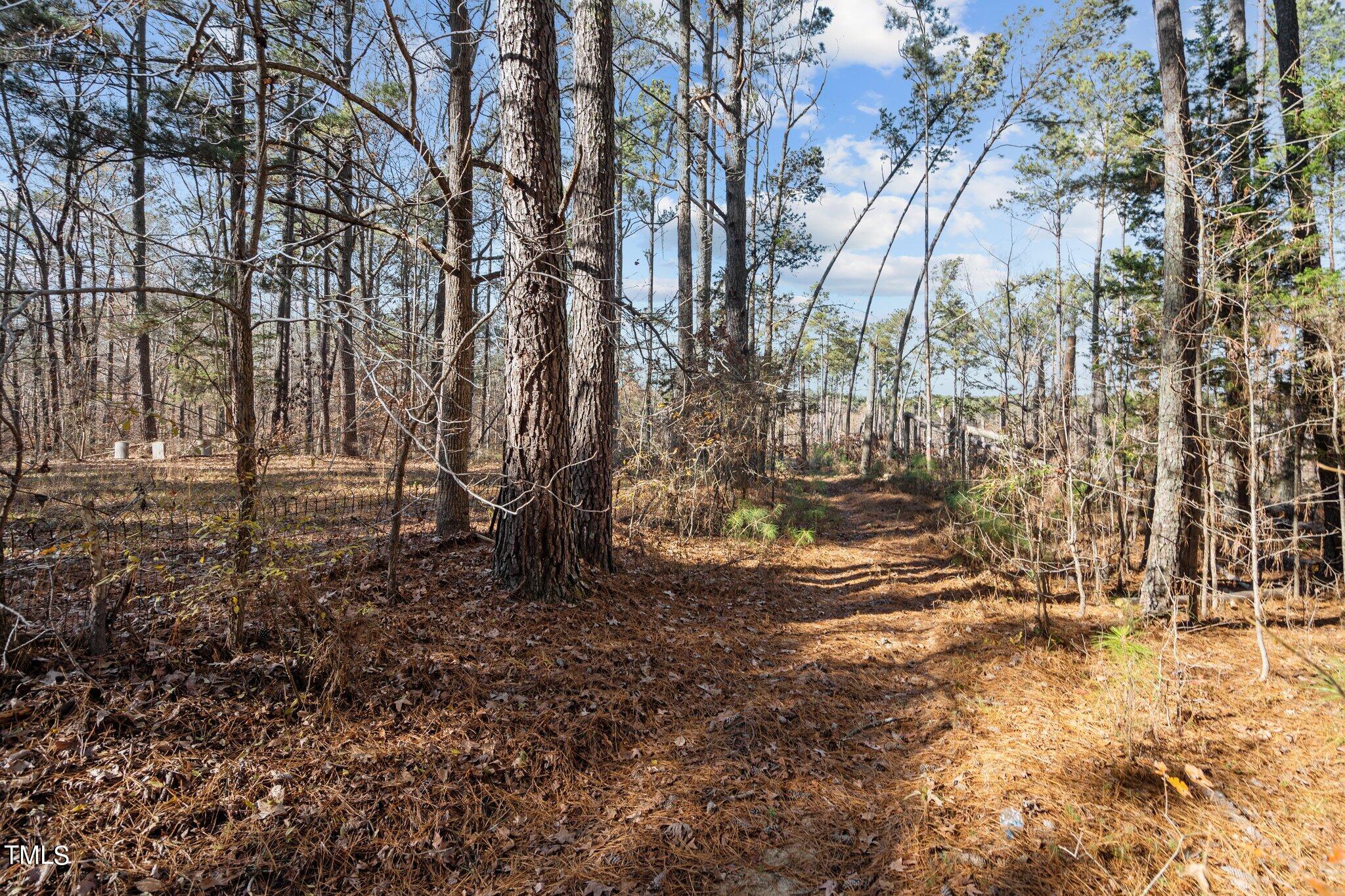 4133 Redwood Road Durham, NC 27704 - Photo 5 of 13 7-web-or-mls-_NFP9007