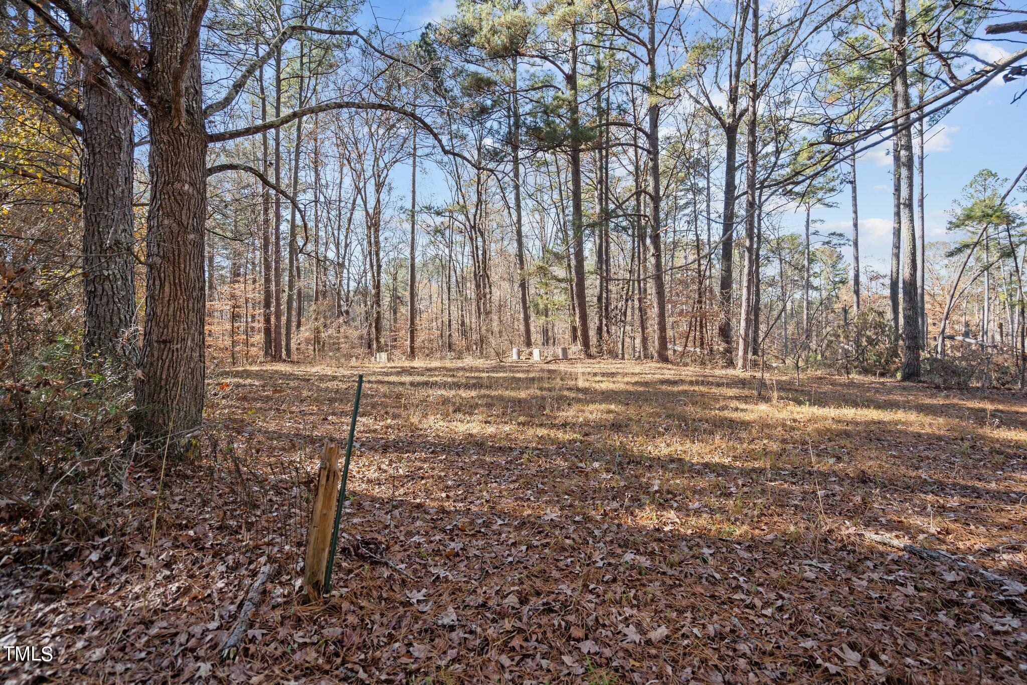 4133 Redwood Road Durham, NC 27704 - Photo 6 of 13 6-web-or-mls-_NFP9006