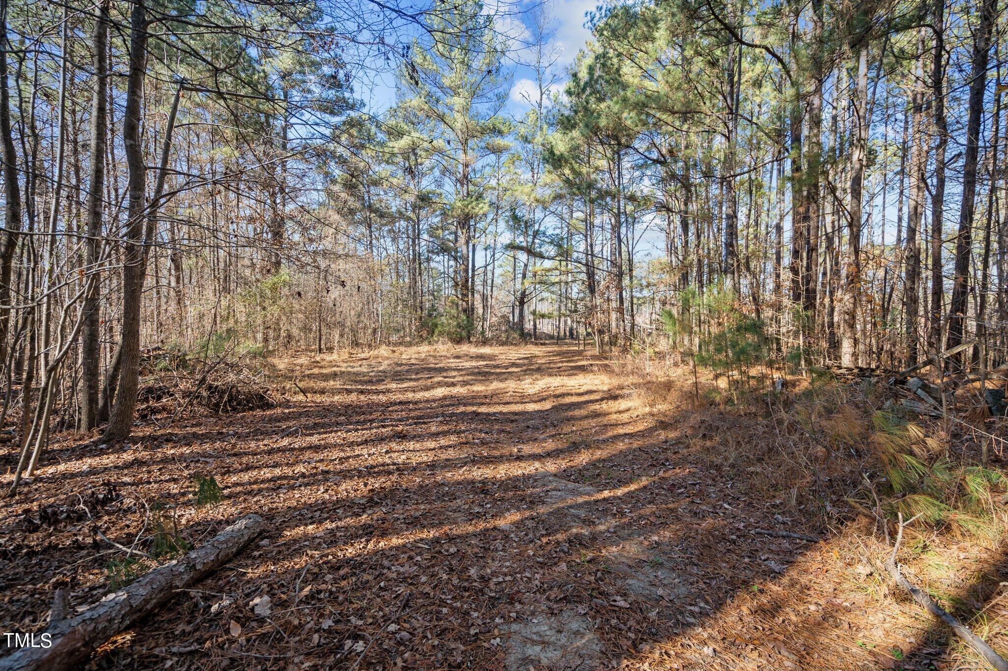 4133 Redwood Road Durham, NC 27704 - Photo 7 of 13 1-web-or-mls-_NFP9001