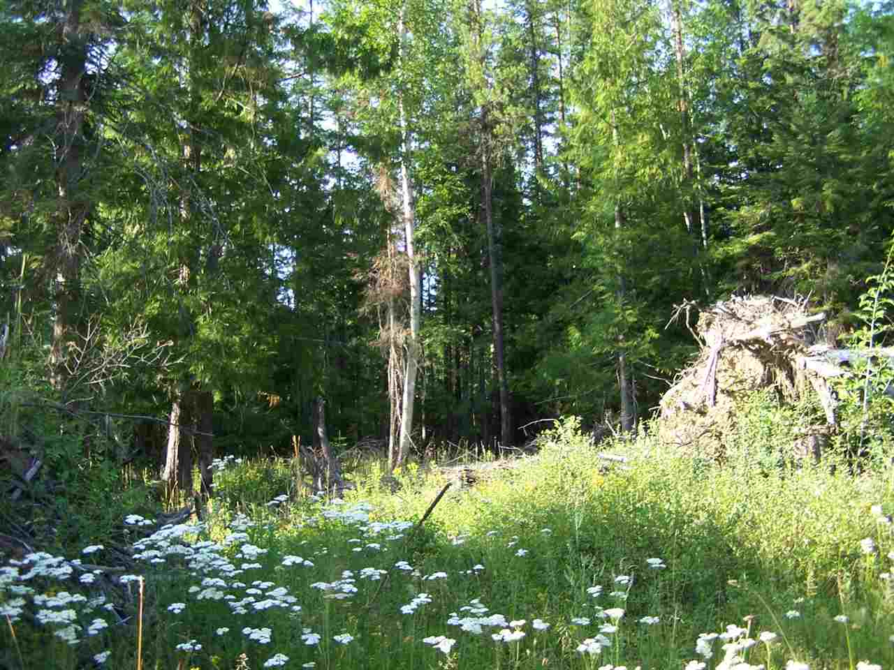 422 A Oliver Road Ione, WA 99139 - Photo 1 of 11 Gallery Image 1