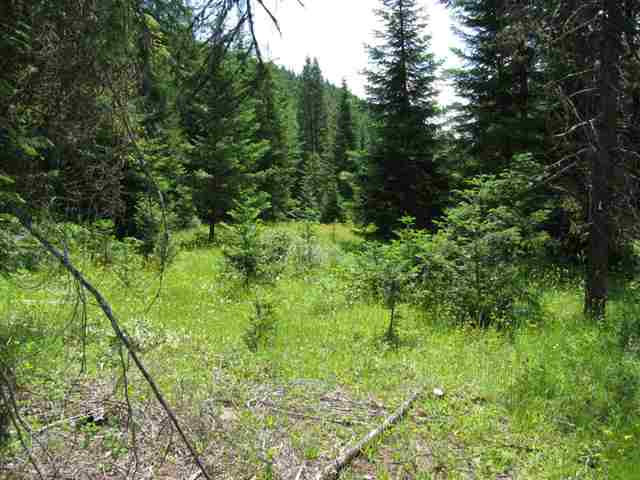 422 A Oliver Road Ione, WA 99139 - Photo 11 of 11 Gallery Image 11
