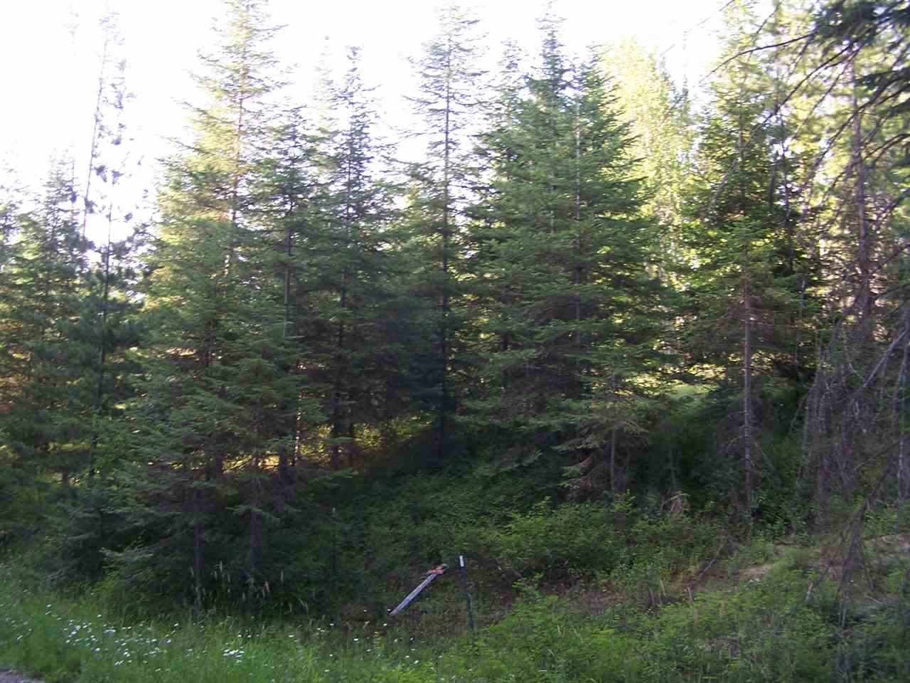 422 A Oliver Road Ione, WA 99139 - Photo 6 of 11 Gallery Image 6