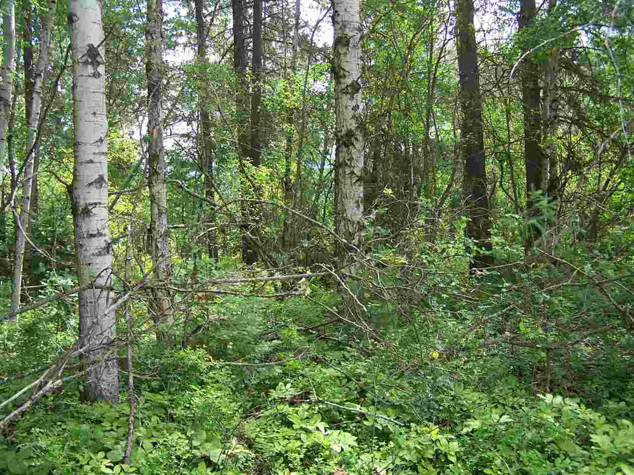 422 A Oliver Road Ione, WA 99139 - Photo 10 of 11 Gallery Image 10