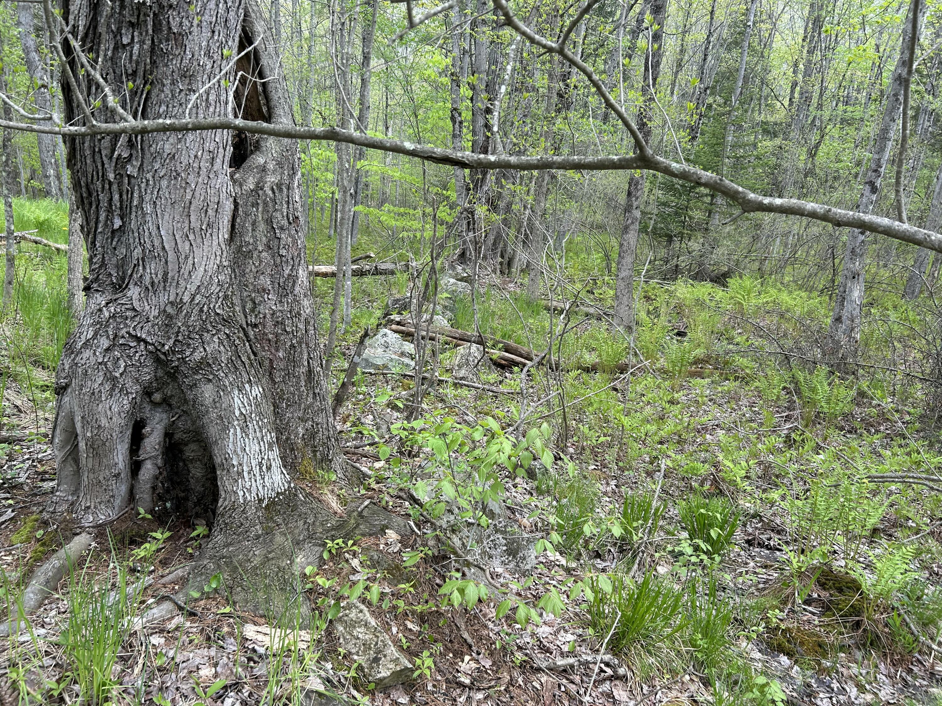281 Randall Road Lewiston, ME 04240 - Photo 22 of 31