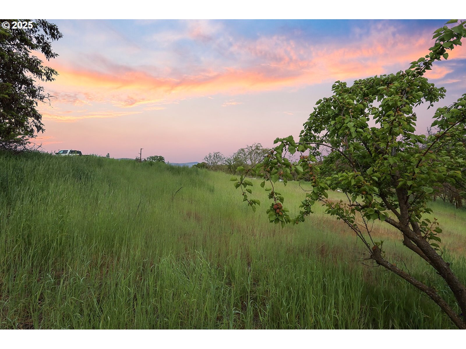 1832 Cherry Heights Road The Dalles, OR 97058 - Photo 6 of 21