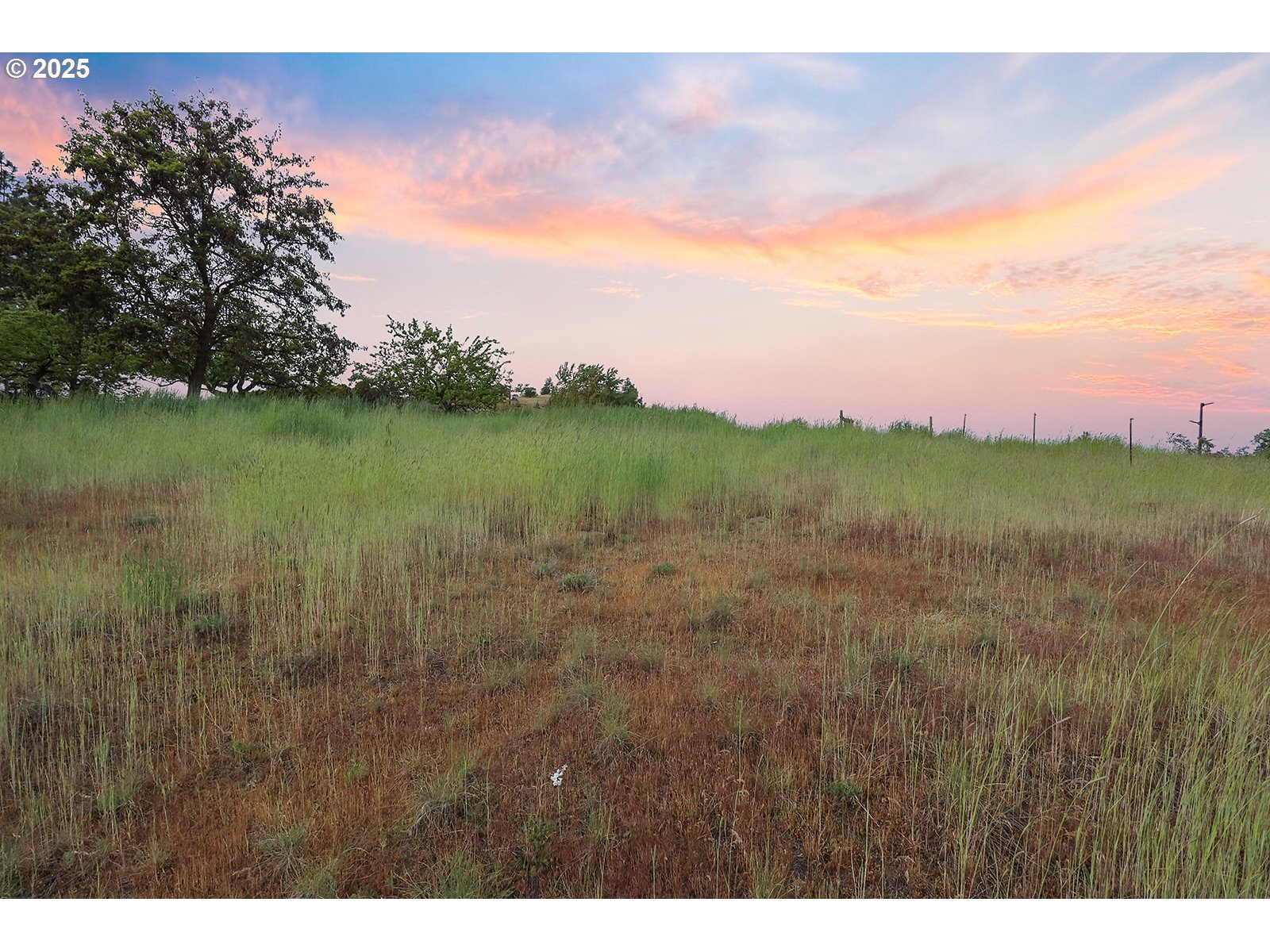1832 Cherry Heights Road The Dalles, OR 97058 - Photo 7 of 21