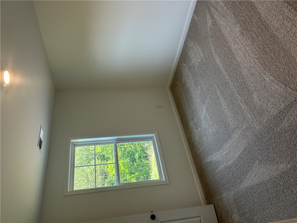 202 Bellflower Lane Pendleton, SC 29670 - Photo 15 of 27 A window frames vibrant outdoor greenery, casting natural light upon new carpeting.