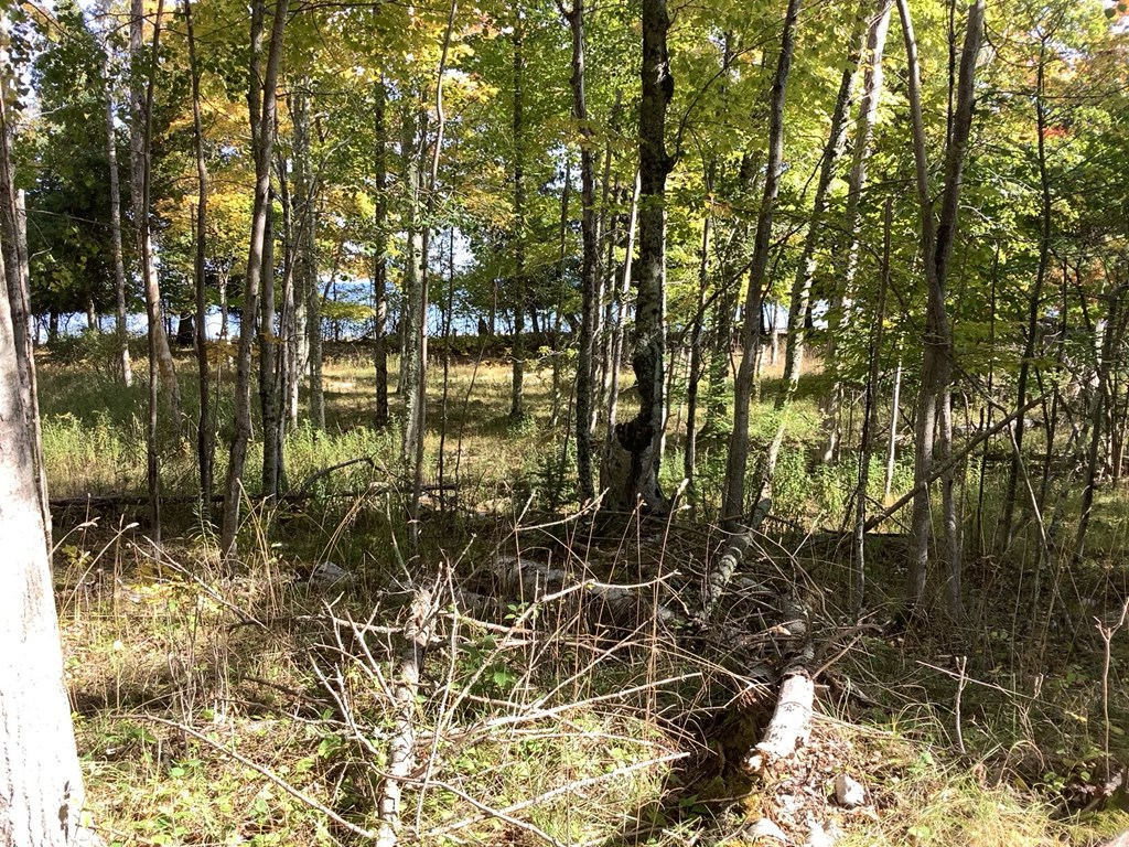 Wickman Road Washington Island, WI 54246 - Photo 2 of 8