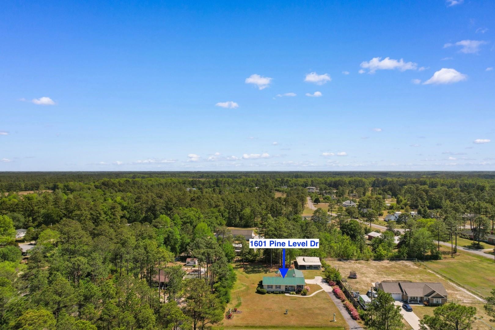 1601 Pine Level Drive Loris, SC 29569 - Photo 36 of 39