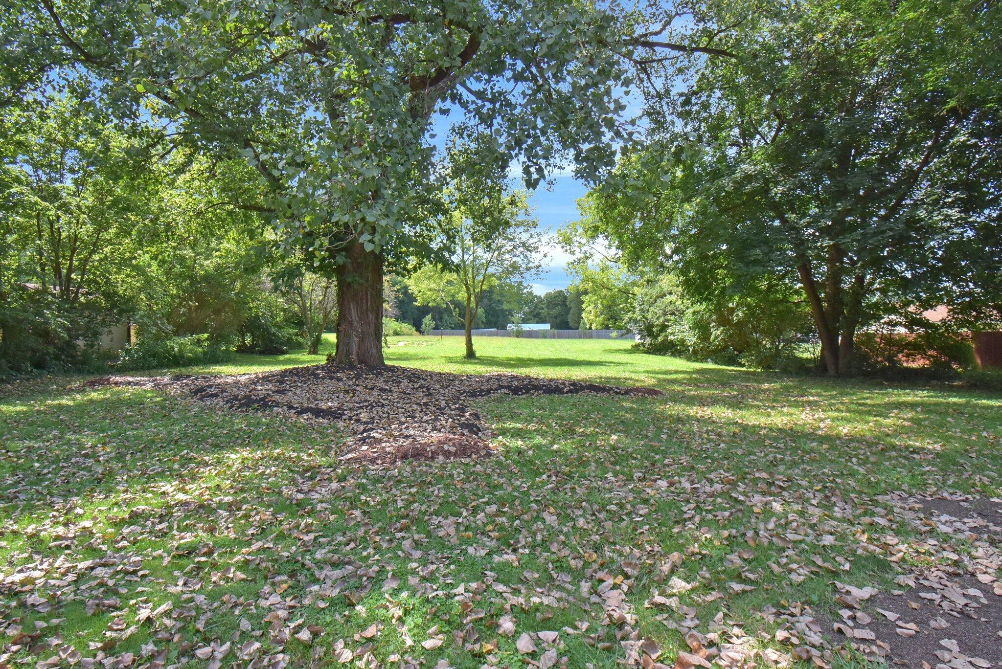 2619 Springfield Xenia Road Springfield, OH 45506 - Photo 36 of 47
