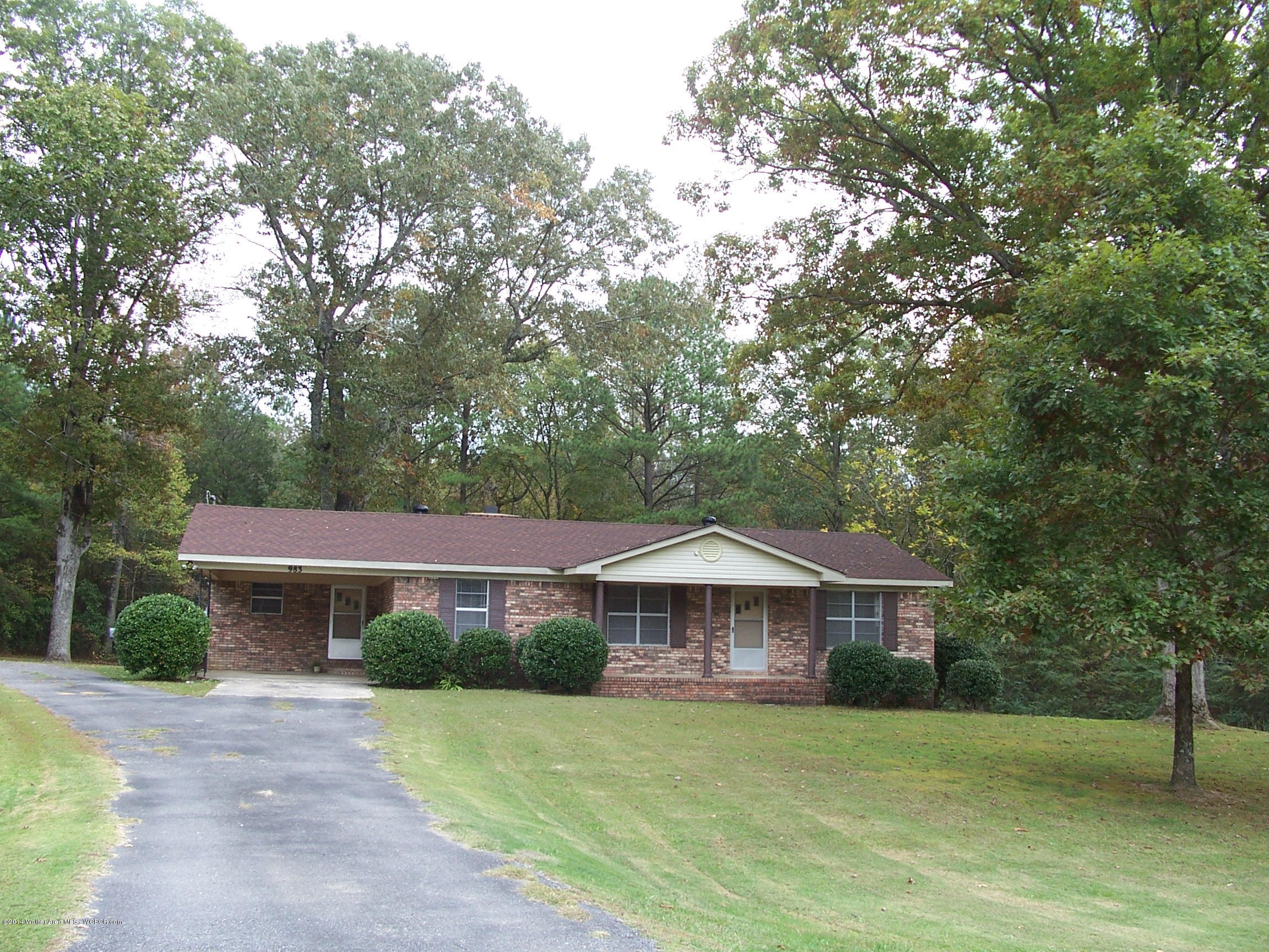 983 Moon Jasper, AL 35501 - Photo 1 of 12 Gallery Image 1