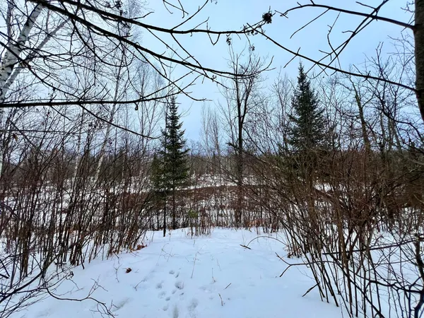 $49,900 | 101 Baich Drive, Coleraine, MN 55722