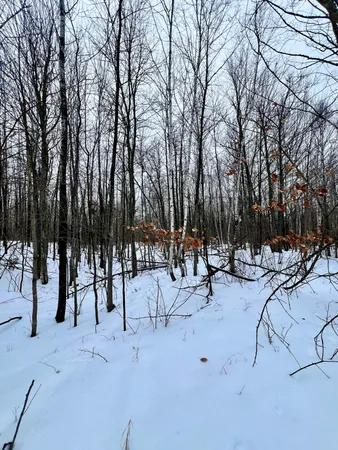 $49,900 | 101 Baich Drive, Coleraine, MN 55722