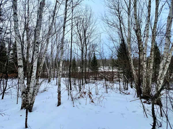 $49,900 | 101 Baich Drive, Coleraine, MN 55722