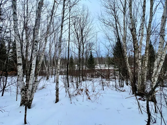 $49,900 | 101 Baich Drive, Coleraine, MN 55722