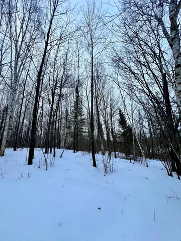 $49,900 | 101 Baich Drive, Coleraine, MN 55722