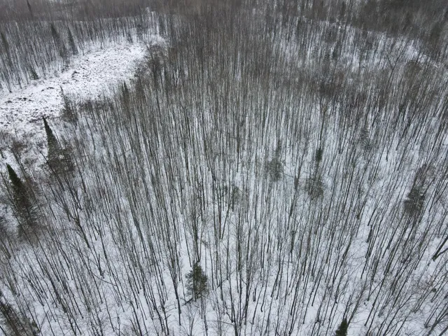 $49,900 | 101 Baich Drive, Coleraine, MN 55722