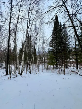 $49,900 | 101 Baich Drive, Coleraine, MN 55722