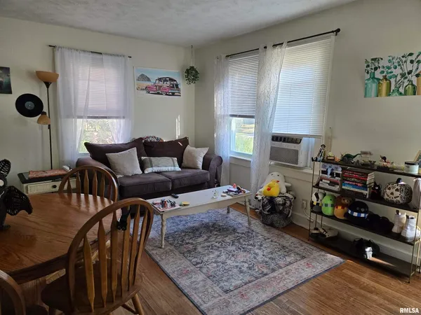 a living room with furniture rug and window