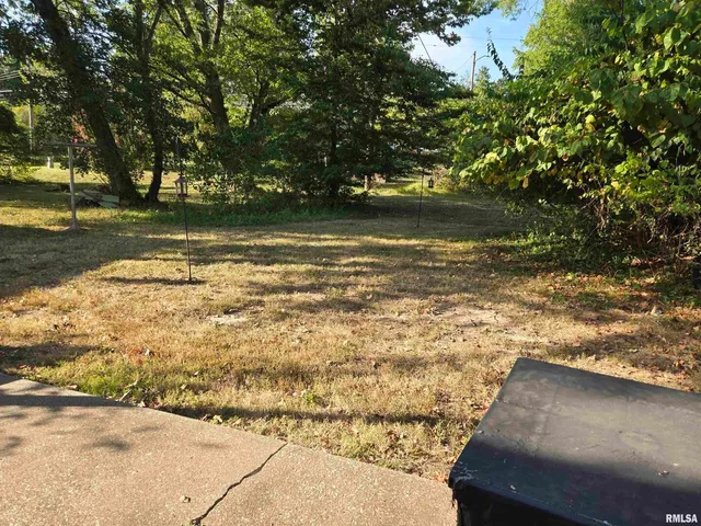 $65,000 | 1110 West Walkup Avenue, Carbondale, IL 62901