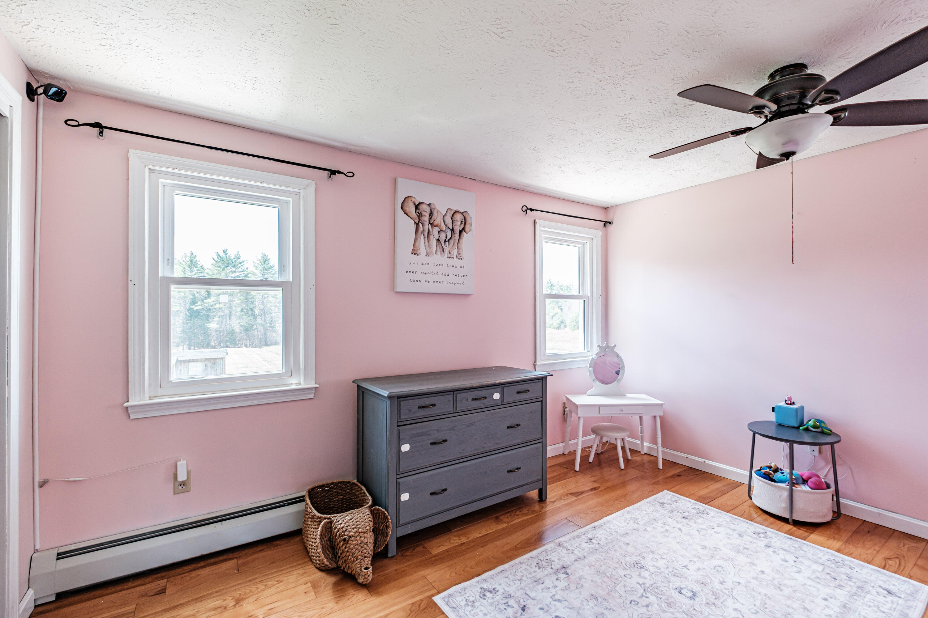 366 Cape Road Hollis Center, ME 04042 - Photo 34 of 65 20260420gp-61046