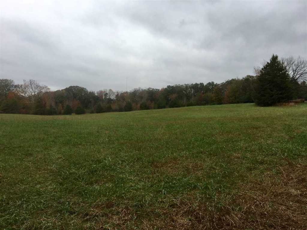 100-ac Broadway School Road Anderson, SC 29621 - Photo 3 of 4 Gallery Image 3