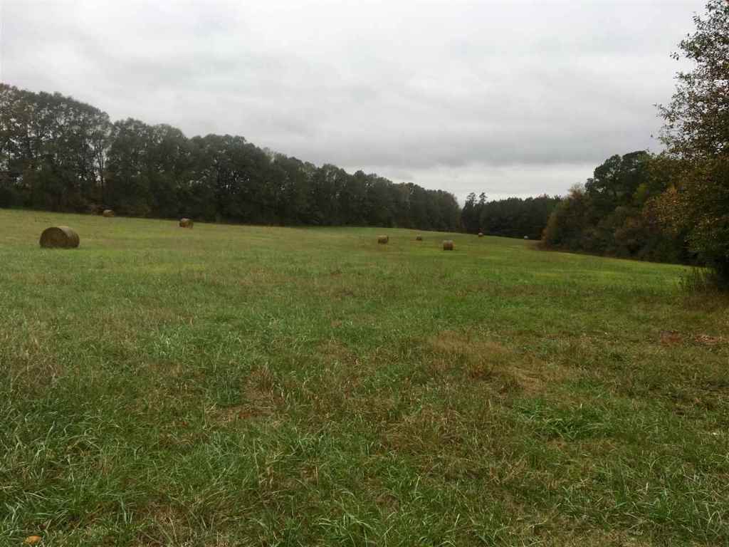 100-ac Broadway School Road Anderson, SC 29621 - Photo 4 of 4 Gallery Image 4
